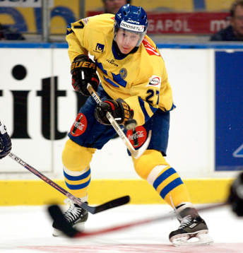 Niklas Anger, Sverige