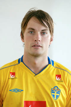 Markus Johannesson, Sverige