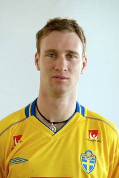 Niklas Skoog, Sverige