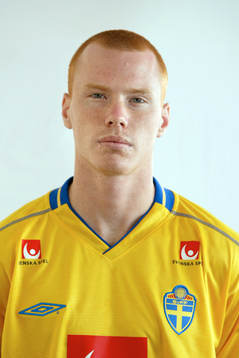 Alexander Farnerud, Sverige