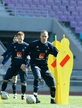 Olof Mellberg, Sverige