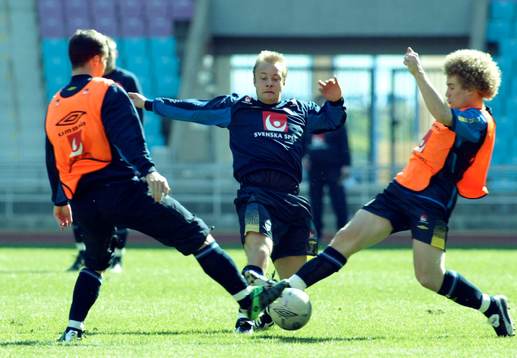 Anders Andersson, Sverige