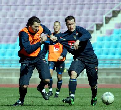 Zlatan Ibrahimovic och Daniel Andersson, Sverige