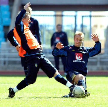 Anders Andersson, Sverige