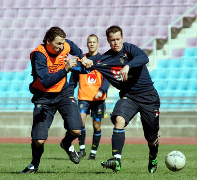 Zlatan Ibrahimovic och Daniel Andersson, Sverige