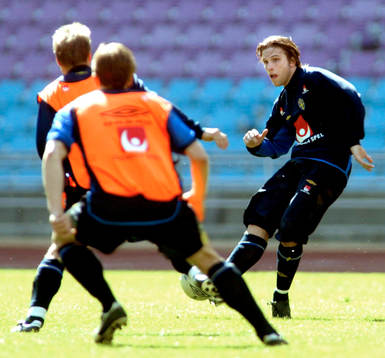 Anders Svensson, Sverige