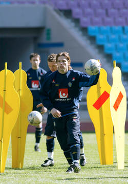 Anders Svensson, Sverige