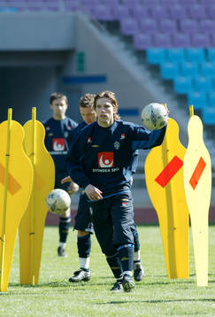 Anders Svensson, Sverige