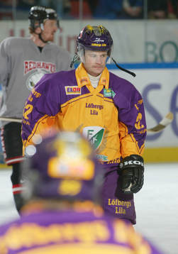 Radek Hamr, Färjestad