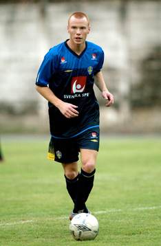 Alexander Farnerud, Sverige