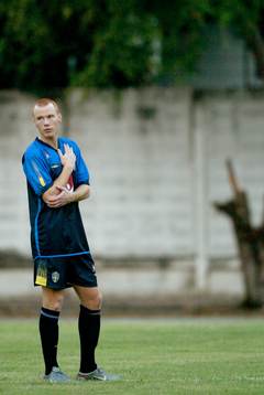 Alexander Farnerud, Sverige
