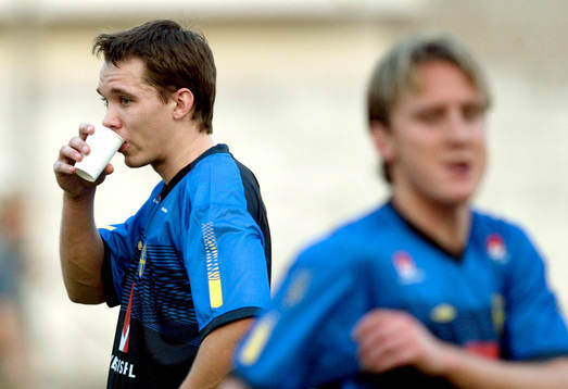Fredrik Lundqvist, Sverige