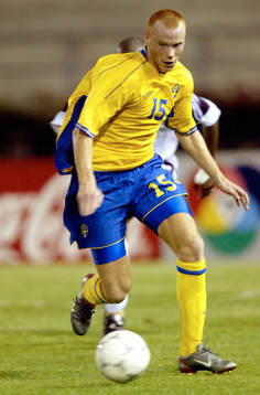 Alexander Farnerud, Sverige