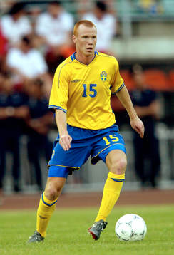 Alexander Farnerud, Sverige