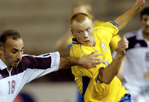 Alexander Farnerud, Sverige