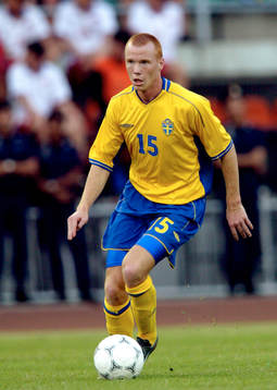 Alexander Farnerud, Sverige