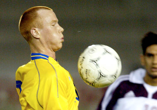 Alexander Farnerud, Sverige