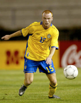 Alexander Farnerud, Sverige