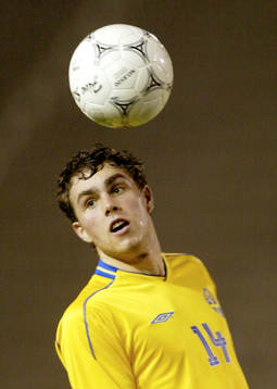 Johan Elmander, Sverige