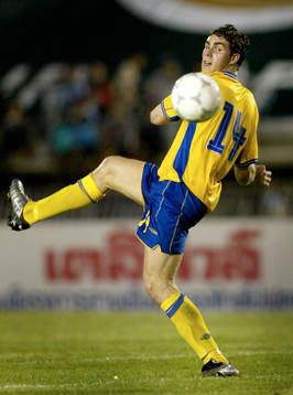 Johan Elmander, Sverige