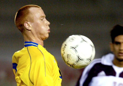 Alexander Farnerud, Sverige