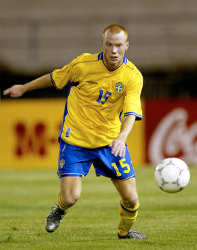 Alexander Farnerud, Sverige