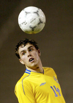 Johan Elmander, Sverige