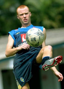 Alexander Farnerud, Sverige