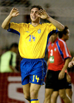 Johan Elmander, Sverige jublar