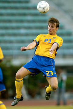 Markus Johannesson, Sverige