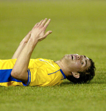 Johan Elmander, Sverige
