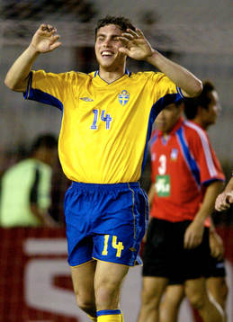 Johan Elmander, Sverige, jubel