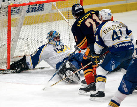 Stefan Liv, HV71 och Matthias Trattnig, Djurgården