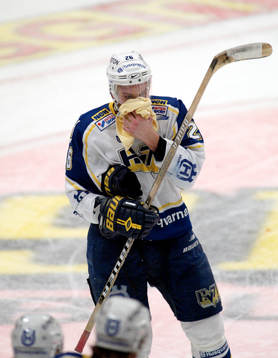 Timmy Pettersson, HV71