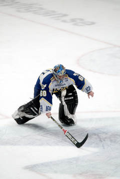 Stefan Liv, målvakt, HV 71
