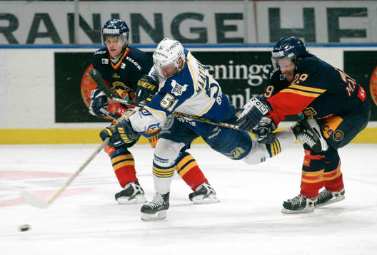 Pasi Määtänen, HV71 och Mikael Magnusson, Djurgården