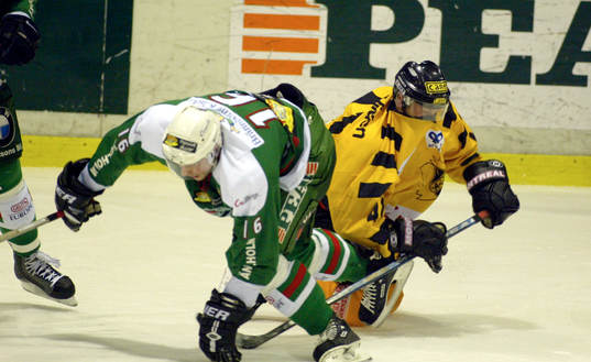 Jonas Blanck, Rögle och Fredrik Näsvall, Skellefteå