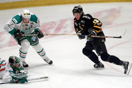 Torgny Löwgren, Rögle och Fredrik Hynning, AIK