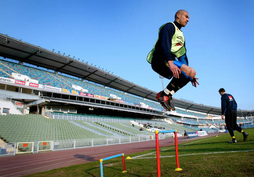 Henrik Larsson, Sverige