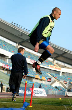 Henrik Larsson, Sverige