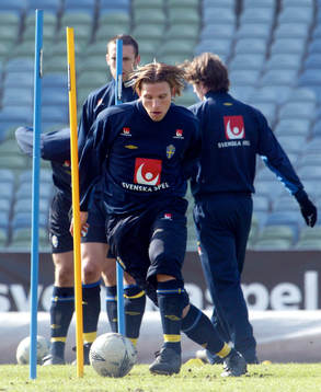 Anders Svensson, Sverige