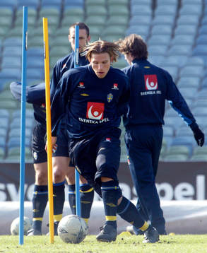 Anders Svensson, Sverige