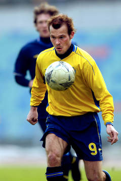 Fredrik Ljungberg, Sverige