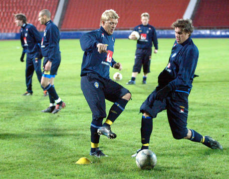 Marcus Allbäck och Johan Elmander, Sverige
