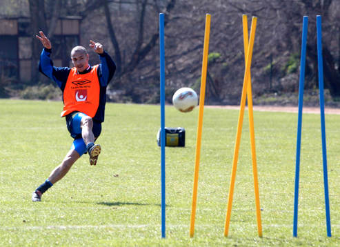 Henrik Larsson, Sverige