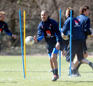 Henrik Larsson, Sverige