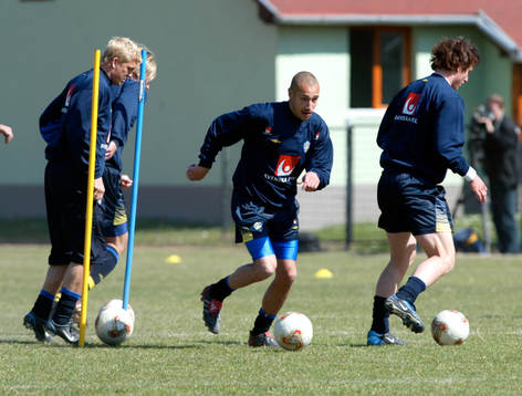 Henrik Larsson, Sverige