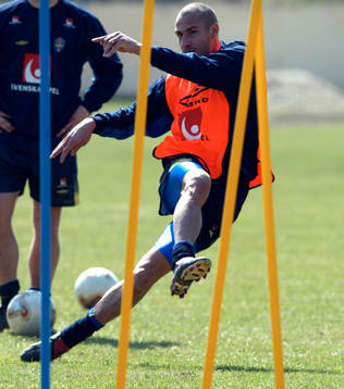 Henrik Larsson, Sverige