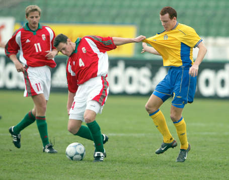 Alexander Farnerud, Sverige