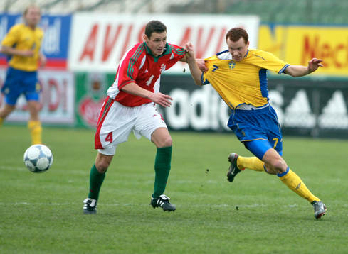 Alexander Farnerud, Sverige